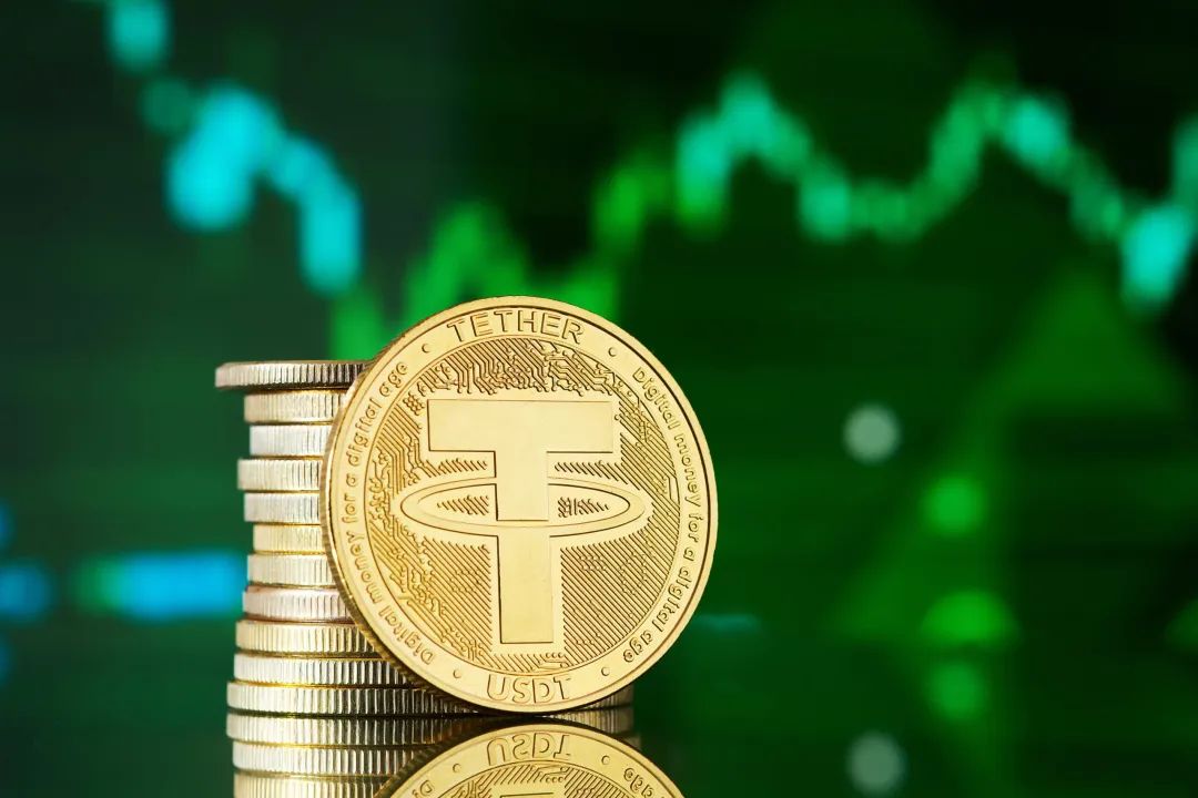 生态系统的稳定性视频_USDT的全球交易网络与市场稳定性_usdt交易是什么意思